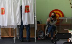 Стали известны результаты голосования на выборах в Ленобласти