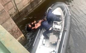 В Петербурге сотрудники ОМОН вытащили из воды упавшего в канал Грибоедова мужчину