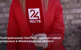 Телеграм-канал ЛенТВ24 – один из самых
успешных в Ленобласти
