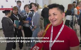 Делегация из Енакиево посетила
гражданский форум в Приозерском районе