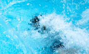 В бассейне на дачном участке в Агалатово чуть не утонула двухлетняя девочка