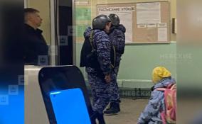 В Петербурге неадекватный мужчина пытался ворваться в школу в Калининском районе