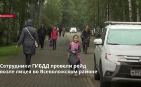Сотрудники ГИБДД провели рейд
возле лицея во Всеволожском районе