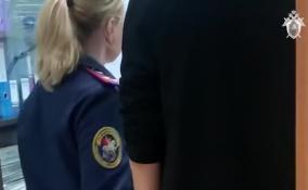 Замначальника управления госэкспертизы Ленобласти сочли соучастником растраты денег Фонда защиты дольщиков