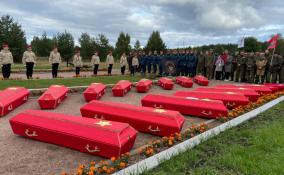 Под Кировском предали земле останки почти 200 красноармейцев, павших в годы Великой Отечественной войны