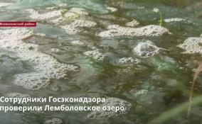 Сотрудники Госэконадзора Ленобласти проверили
Лемболовское озеро во Всеволожском районе