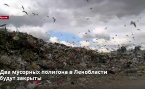 В Ленобласти
будут закрыты 2 мусорных полигона