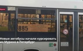 Новые автобусы начали курсировать
из Мурино в Петербург
