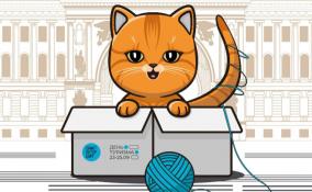 Эрмитажный кот станет талисманом туристского фестиваля Петербурга