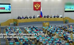 Дума приняла обращение к парламентам зарубежных стран и ООН об
угрозе миру от Украины