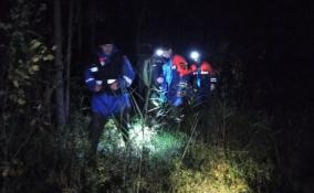 Спасатели Ленобласти помогли заблудившемуся в лесу мужчине у поселка имени Морозова найти дорогу домой
