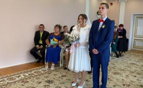 В Ленобласти выбирают лучшего ведущего церемонии бракосочетания