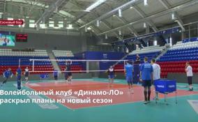 Волейбольный клуб «Динамо-ЛО»
раскрыл планы на новый сезон