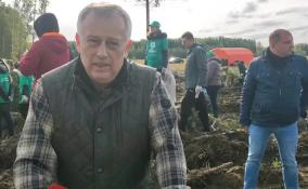 Александр Дрозденко поделился авторским способом посадки сеянцев во время Всероссийской акции "Сохраним лес - 2022"