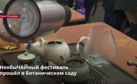 Чайный фестиваль завершился в Ботаническом саду Петербурга