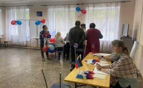 В Ленобласти проходит завершающий день голосования на референдумах