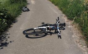 В Кингисеппе водительница сбила 10-летнюю девочку на велосипеде