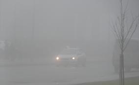Водителей Ленобласти предупредили о тумане с 30 сентября по 2 октября