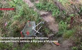 Экомилиция выясняет причины
неприятного запаха в Буграх и Мурино