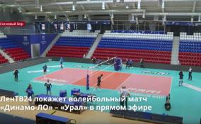 ЛенТВ24 покажет волейбольный матч
«Динамо-ЛО» – «Урал» в прямом эфире