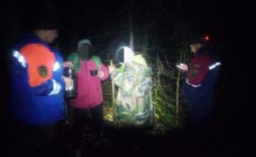 Трое пенсионеров заблудились в лесу у деревни Бабино - их выручали спасатели