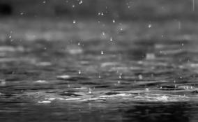 Жителей Ленобласти 3 октября ждут сильные дожди и ветер