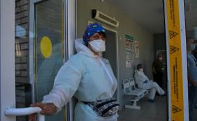В Ленобласти за прошедшие сутки коронавирусом заразились 161 человек