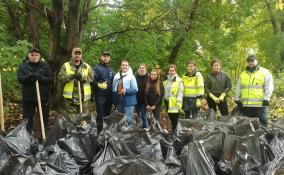 С берега реки Волхов волонтеры собрали свыше 100 мешков мусора