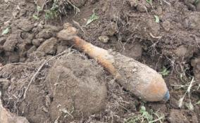 Специалисты Росгвардии обезвредили найденные в Ломоносовском районе боеприпасы времен Великой Отечественной