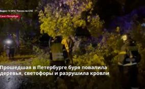 Прошедшая в Петербурге буря повалила деревья, светофоры и
разрушила кровли