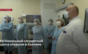 Региональный сосудистый центр открылся в 33 городской больнице
в Колпино