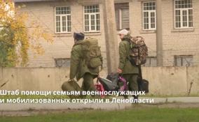 Штаб помощи семьям военнослужащих
и мобилизованных открыли в Ленобласти