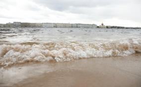 Сильные ветра и дожди в Петербурге повысят уровень воды в Неве до метра и выше