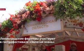 Ленинградские фермеры участвуют
в гастрофестивале «Золотая осень»