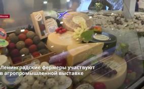 Сыры, клюква, брусника, копченое мясо: в Москве проходит агропромышленная выставка «Золотая осень»