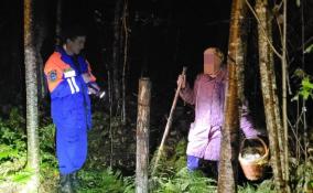 Спасатели Ленобласти вывели из леса у посёлка Назия заблудившуюся пенсионерку