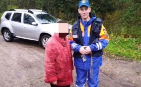Спасатели Ленобласти помогли заблудившейся в лесу пенсионерке вернуться домой в Тосненском районе