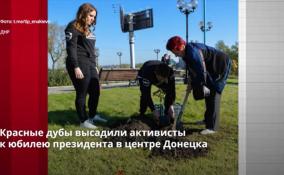 Красные дубы высадили в центре Донецка к 70-летию Владимира
Путина