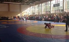 В эту субботу состоялось Первенство Ленинградской области по спортивной борьбе