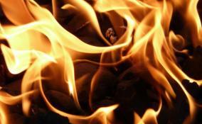 В поселке Алексеевка сгорел частный дом - там нашли обгоревший труп
