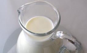 Ленобласть попала в ТОП-5 российских регионов по производству молочной продукции