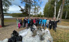 За месяц в Ленобласти провели 116 субботников по очистке от мусора берегов, озёр и лесов региона