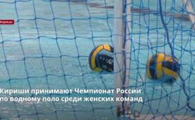 Кириши принимают Чемпионат России
по водному поло среди женских команд