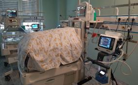 Врачи Гатчинского перинатального центра выхаживают недоношенного младенца весом 890 граммов