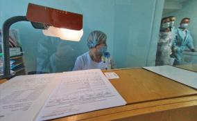 В Ленобласти за последние сутки выявили 263 случая заражения коронавирусом