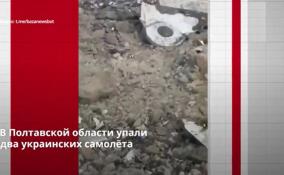 В Полтавской области упали 2 украинских самолета