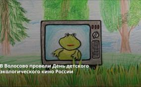 В Волосово провели День детского экологического кино России