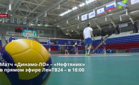 Матч «Динамо-ЛО» – «Нефтяник»
в прямом эфире ЛенТВ24 в 18:00