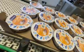 На гатчинском заводе «Галактика» представили новые вкусы йогуртов Viola