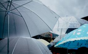Синоптики прогнозируют дождливые и ветреные выходные в Петербурге